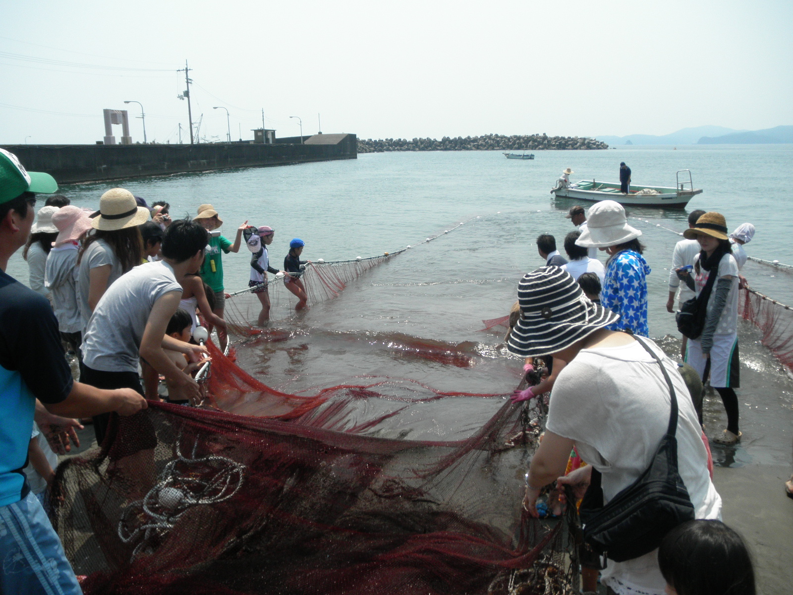 写真1：地引き網の様子